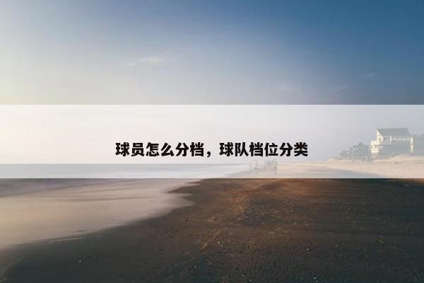 球员怎么分档，球队档位分类