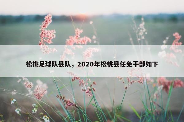 松桃足球队县队，2020年松桃县任免干部如下