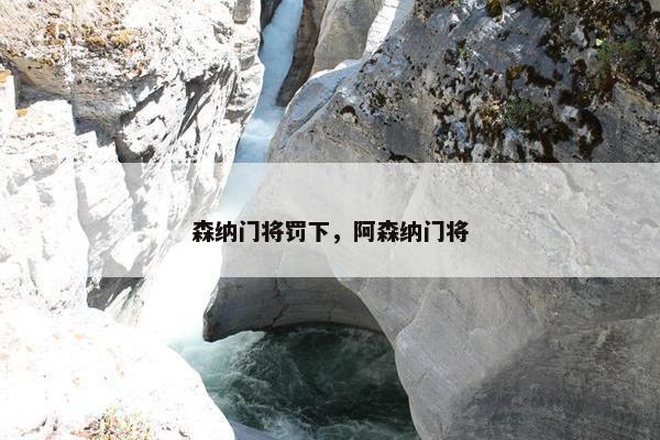 森纳门将罚下，阿森纳门将