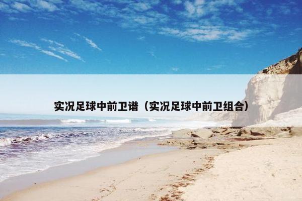 实况足球中前卫谱（实况足球中前卫组合）