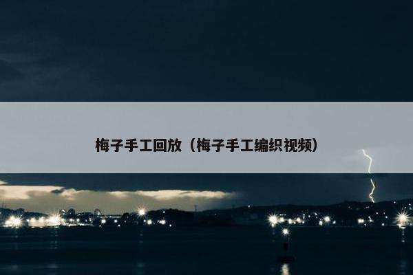 梅子手工回放（梅子手工编织视频）