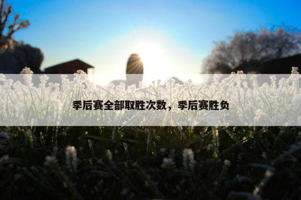 季后赛全部取胜次数，季后赛胜负