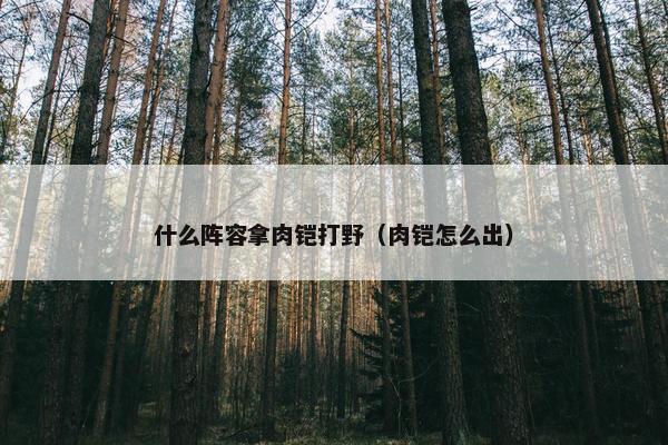 什么阵容拿肉铠打野（肉铠怎么出）