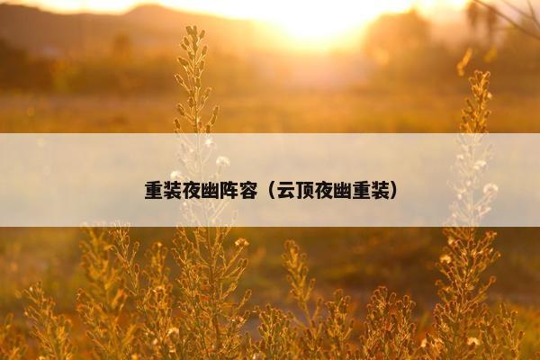 重装夜幽阵容（云顶夜幽重装）
