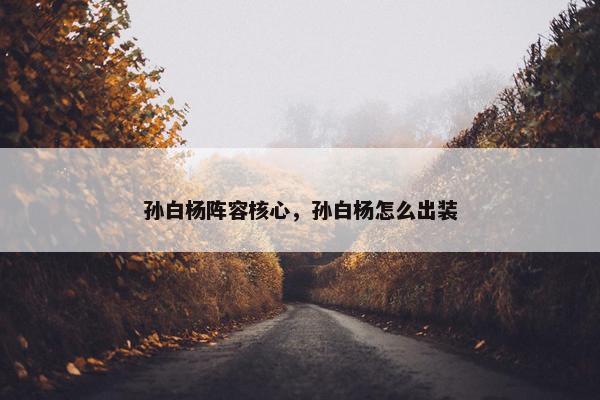 孙白杨阵容核心，孙白杨怎么出装