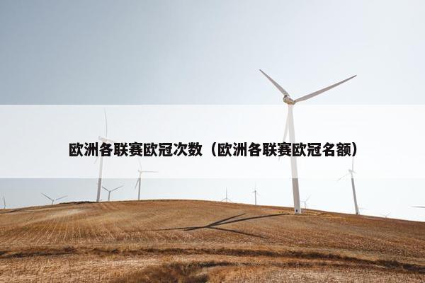 欧洲各联赛欧冠次数（欧洲各联赛欧冠名额）