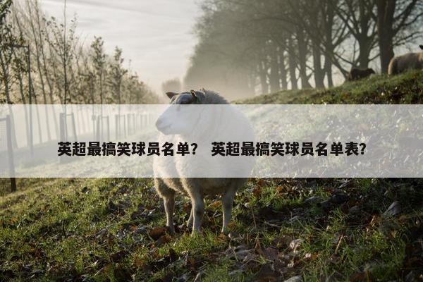 英超最搞笑球员名单？ 英超最搞笑球员名单表？