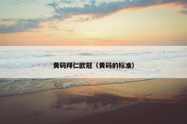 黄码拜仁欧冠（黄码的标准）
