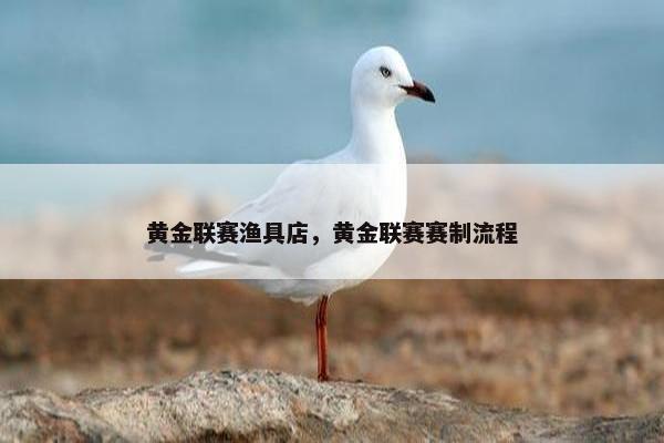 黄金联赛渔具店，黄金联赛赛制流程