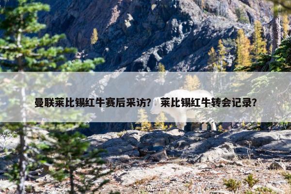 曼联莱比锡红牛赛后采访？ 莱比锡红牛转会记录？