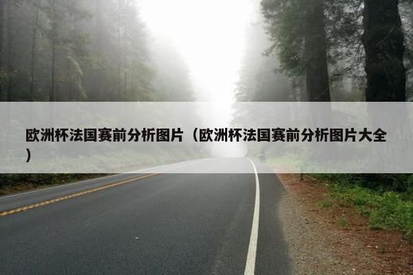 欧洲杯法国赛前分析图片（欧洲杯法国赛前分析图片大全）