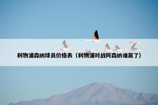 利物浦森纳球员价格表（利物浦对战阿森纳谁赢了）