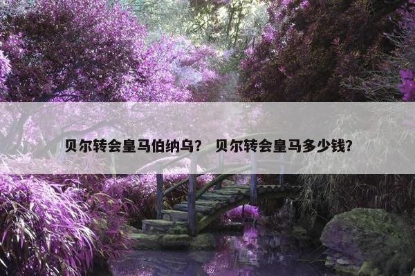 贝尔转会皇马伯纳乌？ 贝尔转会皇马多少钱？