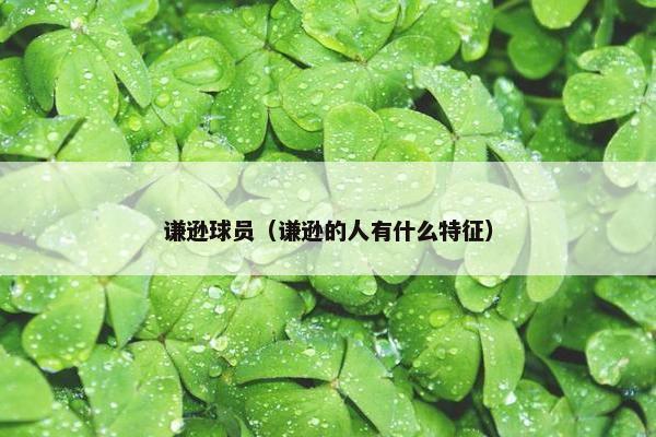 谦逊球员（谦逊的人有什么特征）