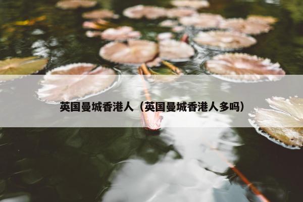 英国曼城香港人（英国曼城香港人多吗）