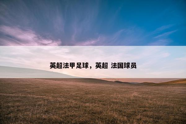 英超法甲足球，英超 法国球员