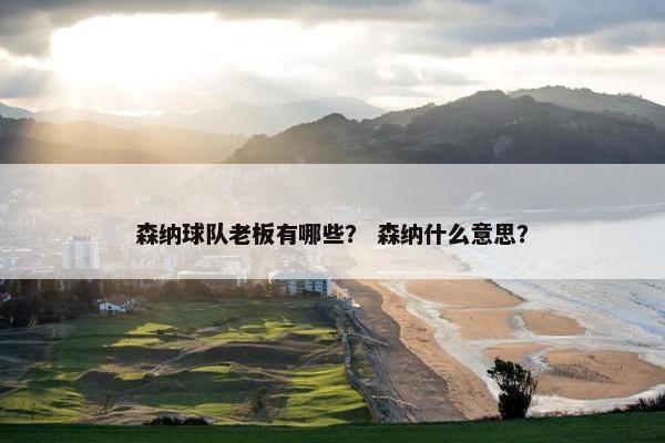 森纳球队老板有哪些？ 森纳什么意思？
