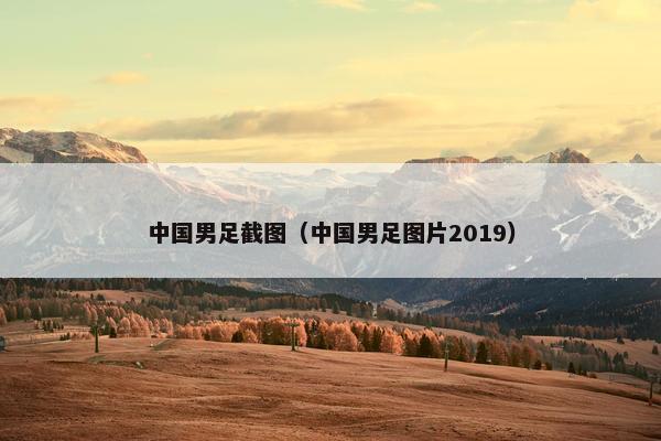 中国男足截图（中国男足图片2019）