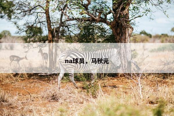 na球员，马秋元