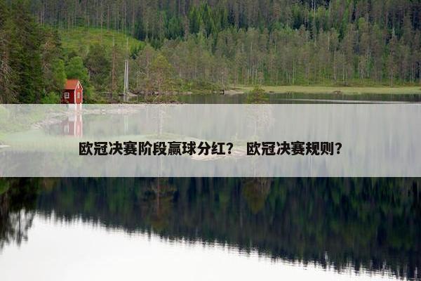 欧冠决赛阶段赢球分红？ 欧冠决赛规则？
