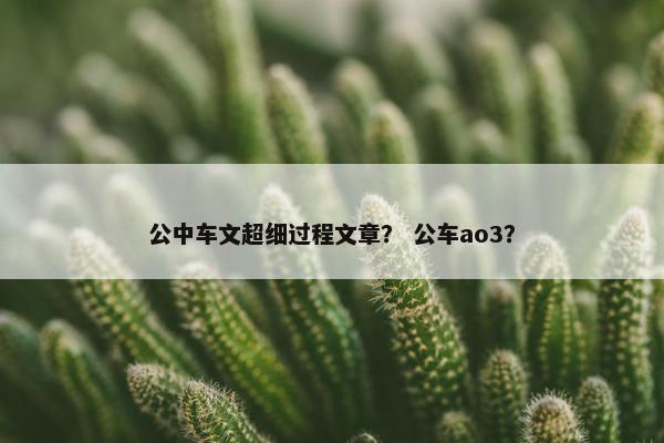 公中车文超细过程文章？ 公车ao3？