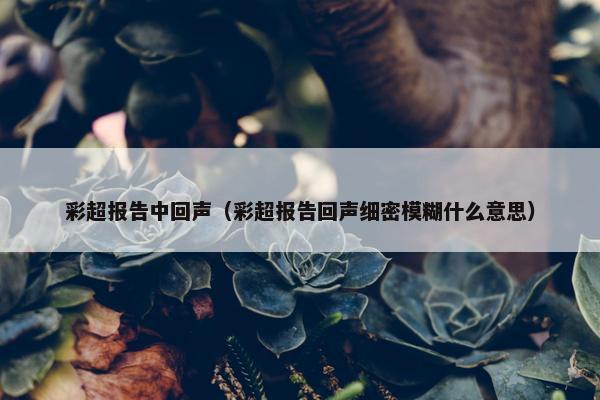 彩超报告中回声（彩超报告回声细密模糊什么意思）