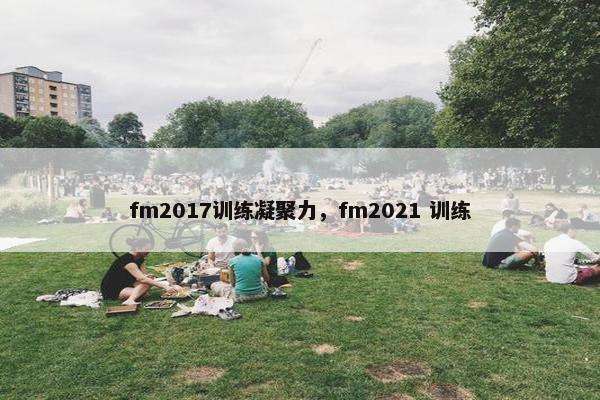 fm2017训练凝聚力，fm2021 训练