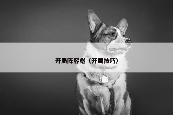 开局阵容彪（开局技巧）