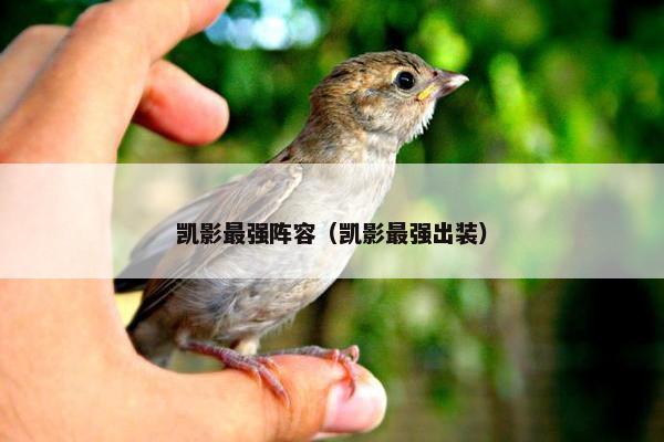 凯影最强阵容（凯影最强出装）