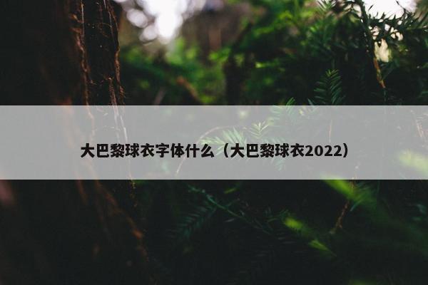 大巴黎球衣字体什么（大巴黎球衣2022）