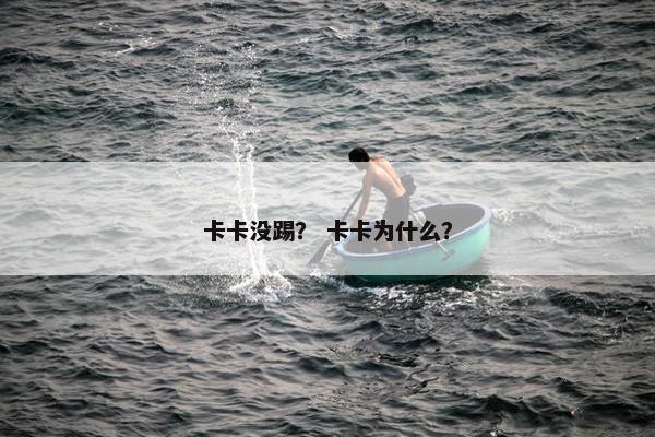 卡卡没踢？ 卡卡为什么？