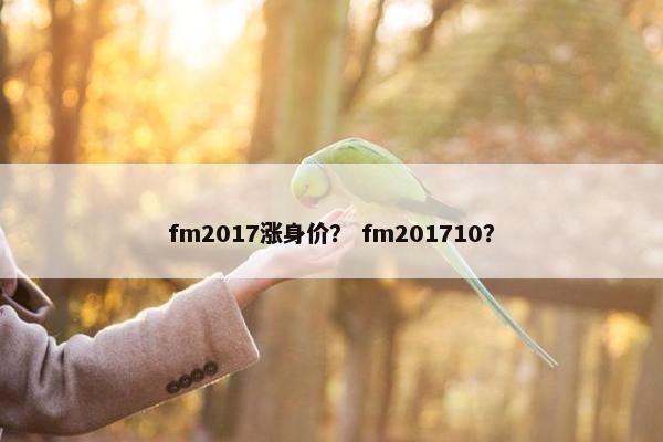 fm2017涨身价？ fm201710？