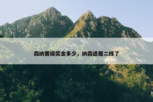 森纳晋级奖金多少，纳森退居二线了