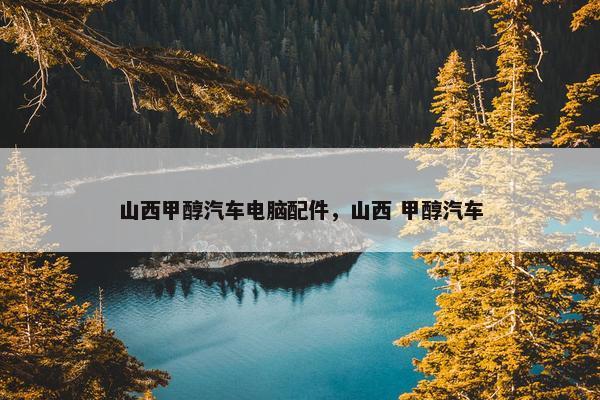 山西甲醇汽车电脑配件，山西 甲醇汽车