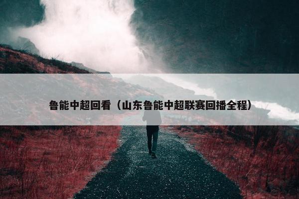 鲁能中超回看（山东鲁能中超联赛回播全程）