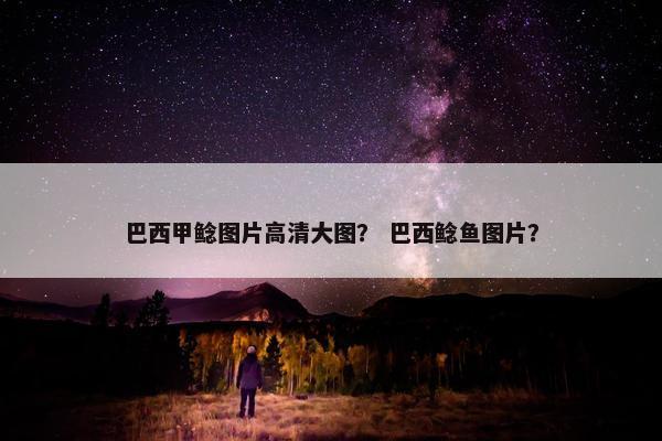 巴西甲鲶图片高清大图？ 巴西鲶鱼图片？