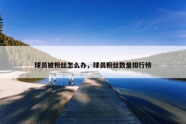 球员被粉丝怎么办，球员粉丝数量排行榜