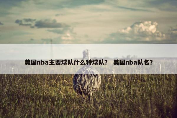 美国nba主要球队什么特球队？ 美国nba队名？