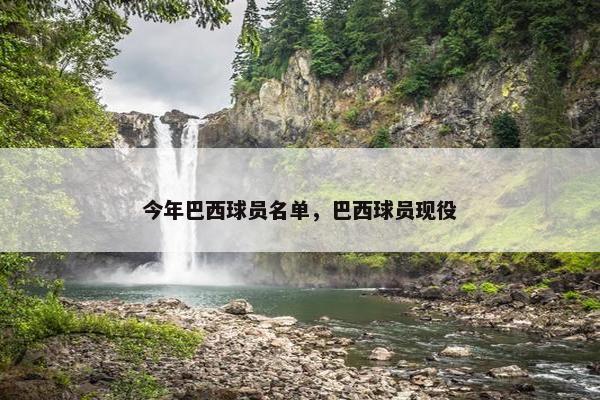 今年巴西球员名单，巴西球员现役