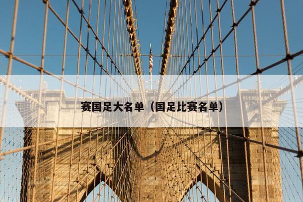 赛国足大名单（国足比赛名单）