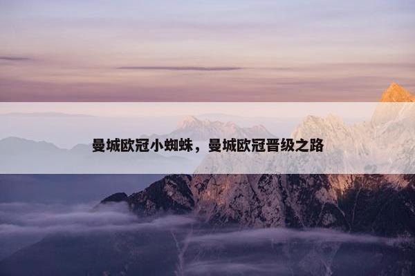 曼城欧冠小蜘蛛，曼城欧冠晋级之路