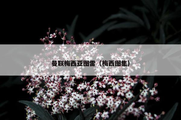 曼联梅西亚图雷（梅西图集）