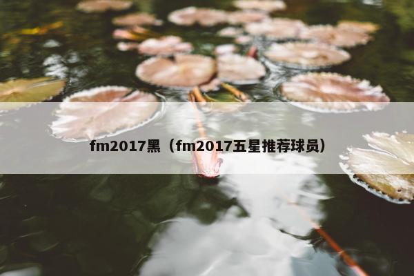 fm2017黑（fm2017五星推荐球员）