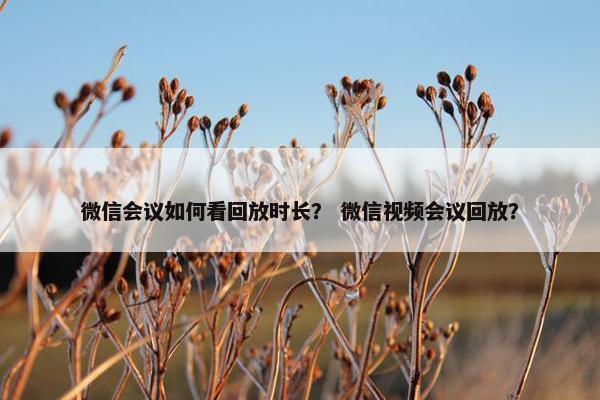 微信会议如何看回放时长？ 微信视频会议回放？