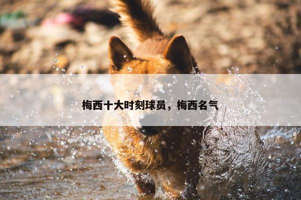 梅西十大时刻球员，梅西名气