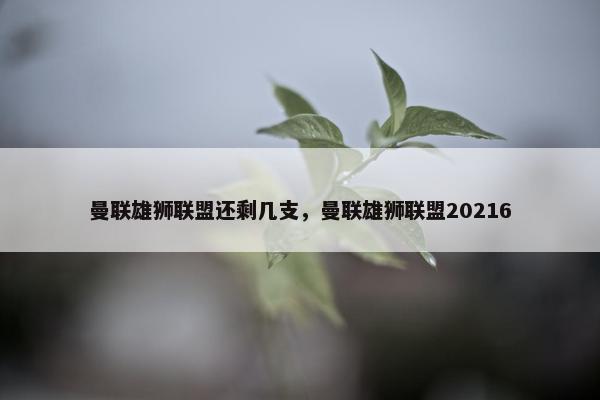 曼联雄狮联盟还剩几支，曼联雄狮联盟20216