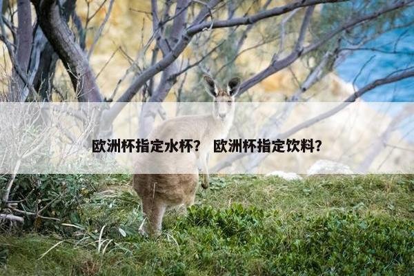 欧洲杯指定水杯？ 欧洲杯指定饮料？