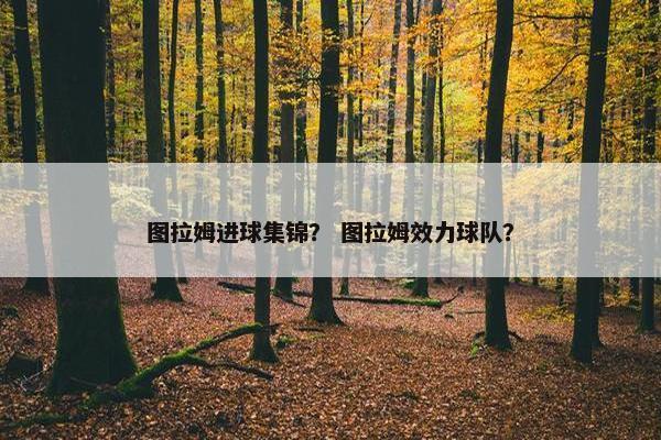 图拉姆进球集锦？ 图拉姆效力球队？
