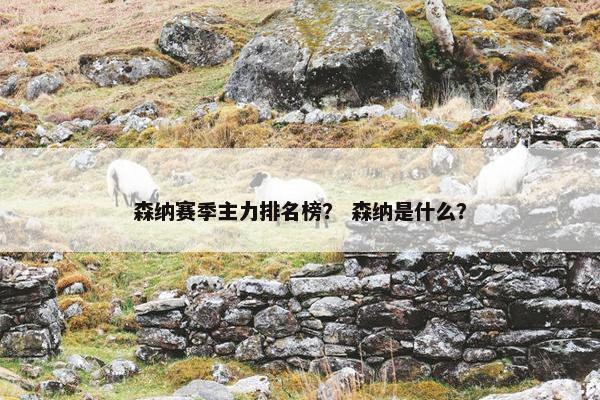 森纳赛季主力排名榜？ 森纳是什么？