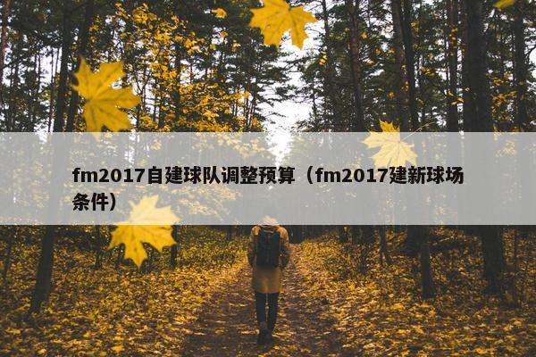 fm2017自建球队调整预算（fm2017建新球场条件）